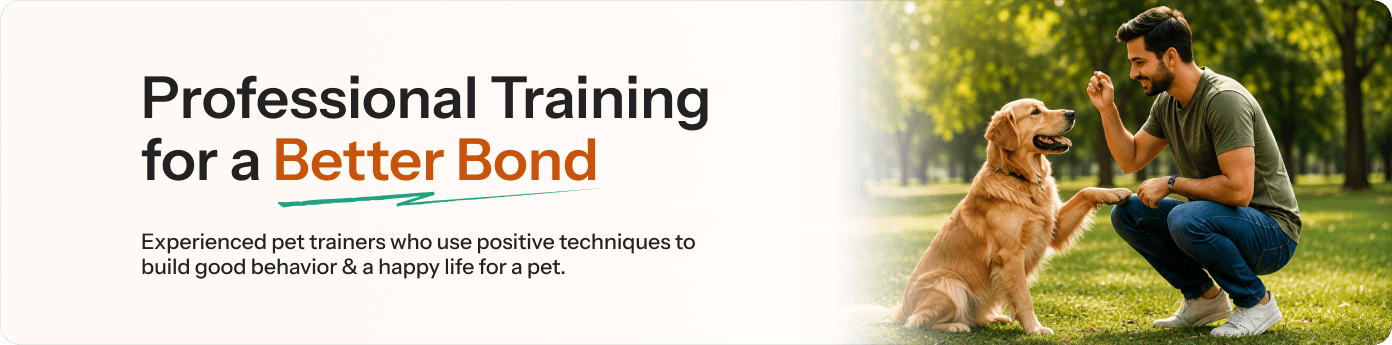 Pet Care Services