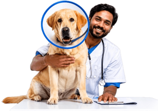 Vet Clinics